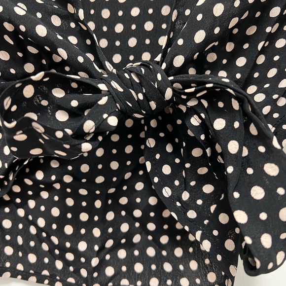 Urban Outfitters Polka Dot Tie Crop Top - Picture 2 of 4